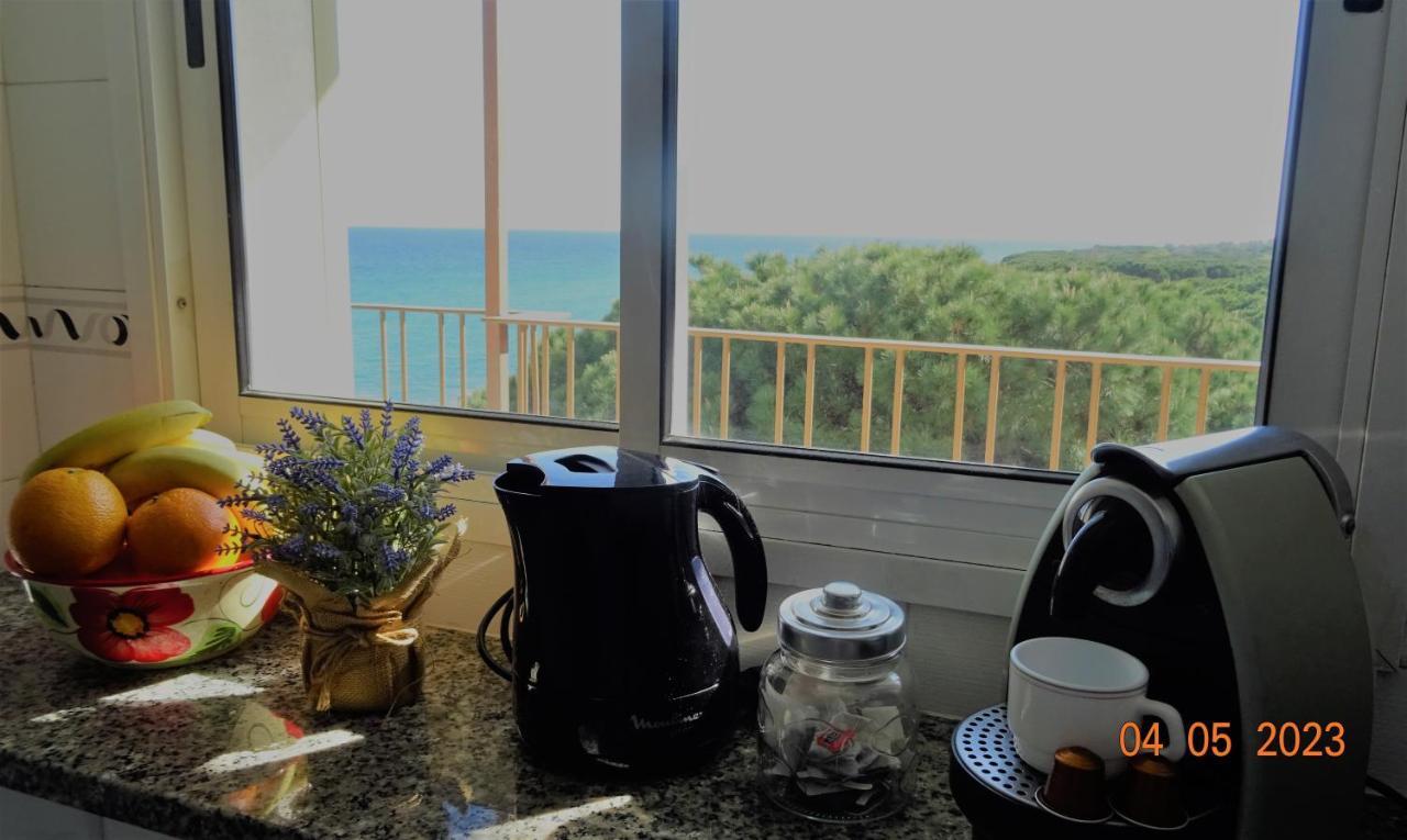Apartament La Vista Bonica بلانيس المظهر الخارجي الصورة